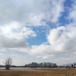 Thumbnail of post image 097