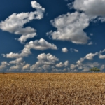 Thumbnail of post image 002