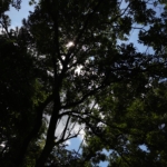Thumbnail of post image 193